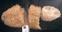 loofah-cut2